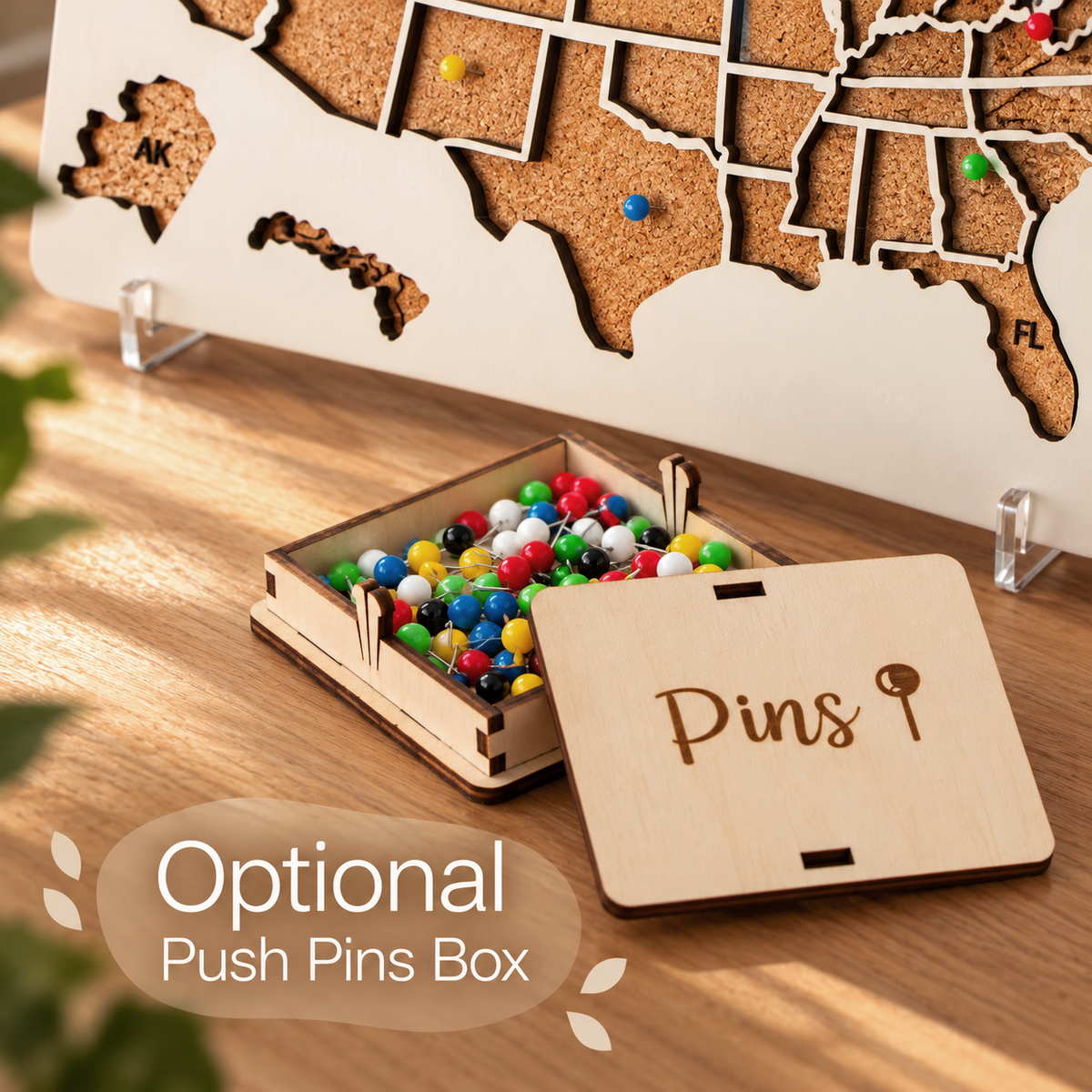 Box with Push Pins for US States Visited Map